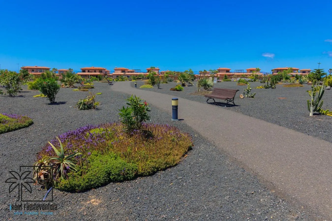Alma Ventura House Majanicho Irent Fuerteventura Apartment Lajares Spain